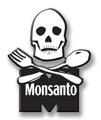 Monsanto in a (GMO)&nbsp;Nutshell: